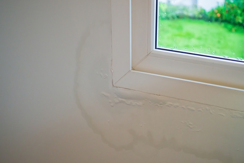 Causes and Prevention Tips For Mold On Partition Walls